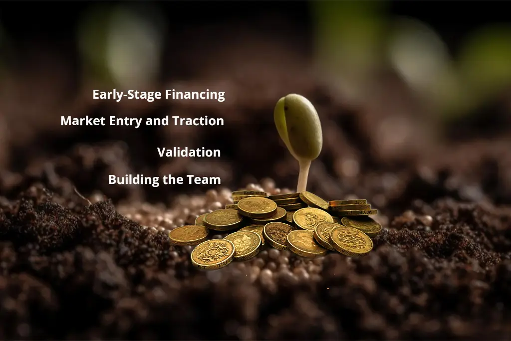 Role Of Seed Funding