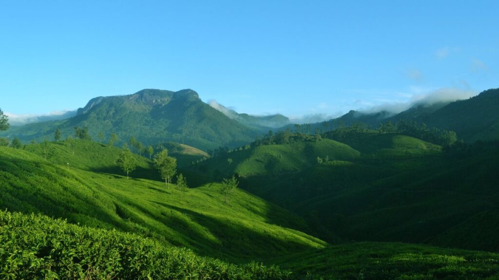 Best Places to Travel in May in Munnar, Kerela